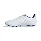 Chuteira Adidas Campo Predator 19.4 Fg