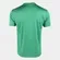 Camiseta Palmeiras Waves Verde
