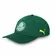 Bone Puma Palmeiras Aba Curva Snapback Treino 21/22