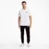 Polo Puma Ess Pique