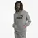 Moletom Puma Ess Big Logo Hoodie Tr