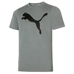 Camiseta Puma Active Big Logo Tee