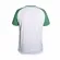 CAMISETA DEMPSEY PALMEIRAS BRANCO/VERDE P