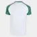 Camiseta Dempsey Palmeiras