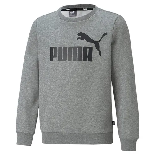Blusa Moleton Big Logo Crew Tr