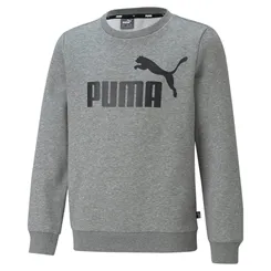 Blusa Moleton Big Logo Crew Tr