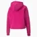Cropped Logo Hoodie Fl