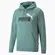 Blusa  Puma + 2 Col Big Logo Hoodie
