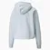 Cropped Logo Hoodie Fl