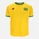 Camiseta Brasil Lotto