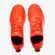 CHUTEIRA SOCIETY UMBRO ADAMANT