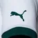 Camisa Palmeiras Torcedor Away Puma