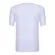 Camiseta Juvenil Palmeiras 1914