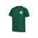 Camiseta Palmeiras Spirit