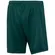 CALCAO PALMEIRAS 1914 II JUVENIL - 04-VERDE